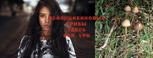 гидропоника Баксан