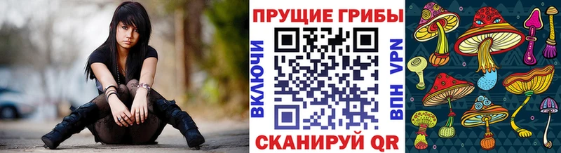 Галлюциногенные грибы мицелий  Купить где  Мирный 